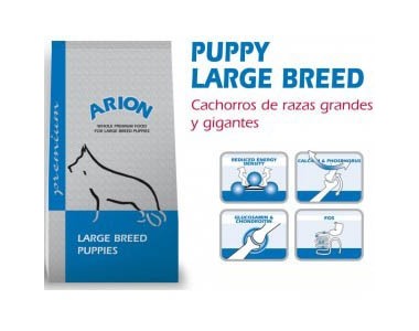 Arion Premium Puppy Large Bred 15 kg.
