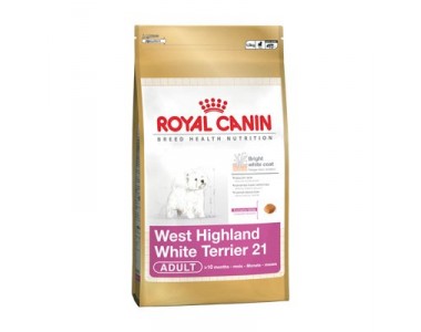 WEST HIGHLAND WHITE TERRIER 21 Adult 1.5 kg.