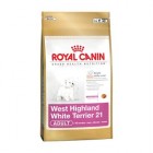 WEST HIGHLAN WHITE TERRIER 21 Adult 1.5 kg.