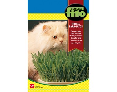 Grass Cat 20 gr.