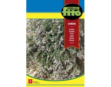 Common Thyme 0,75 gr.