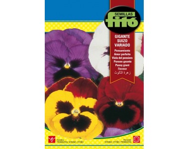 Swiss Giant Pansy varied   0.3 gr.