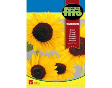 Girasol ornamental 10 gr.