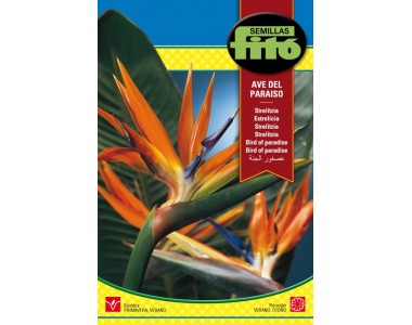 Strelitzia - ave del paraiso