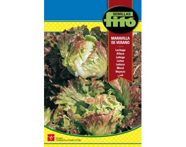Lettuce "meravilla" summer﻿ 6 gr.