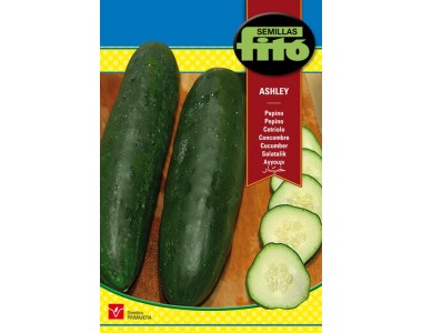 Cucumber Ashley﻿  10 gr.