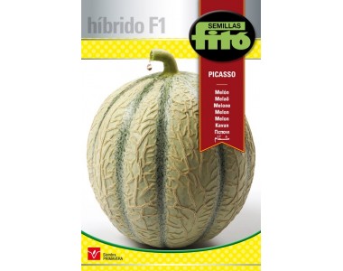 Melon Picasso (60 seeds)