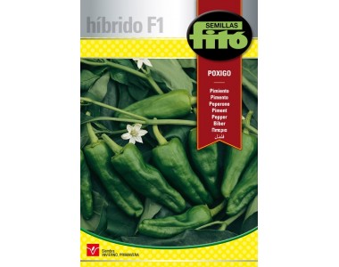 Pepper Poxigo (60 seeds)
