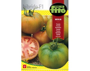 Tomato Merlin (100 seeds)
