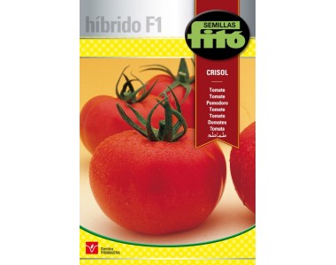 Tomate Crisol (100 semillas)