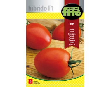 Tomate Oria (100 graines)