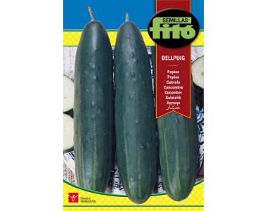 Cucumber Bellpuig 10 gr.