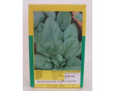 Winter spinach giant Santos 250 gr.